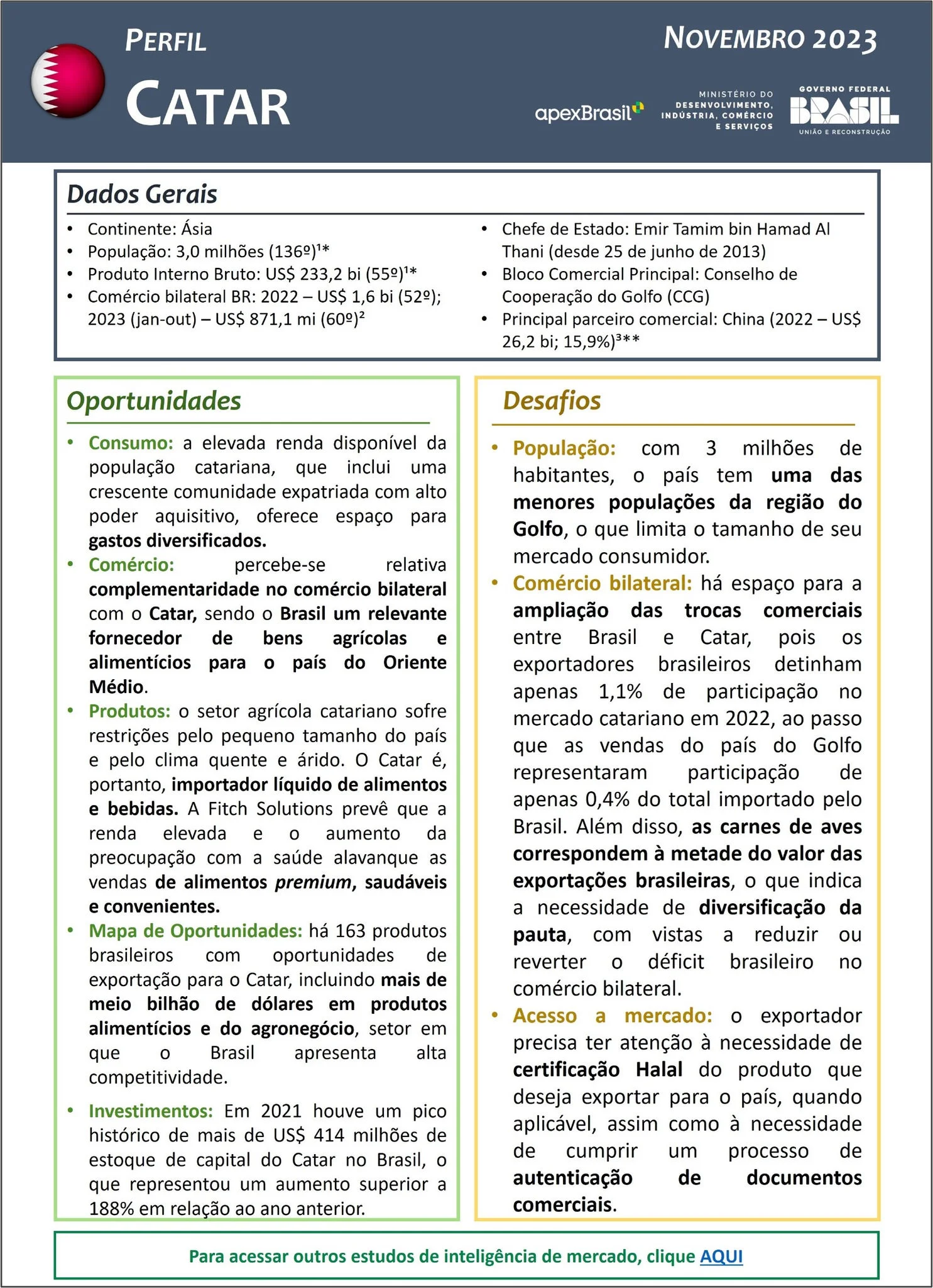 PERFIL CATAR - 2023